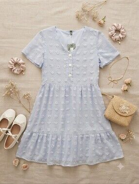 Alredine Powder Blue Swiss Dot Short Sleeve Babydoll Dress